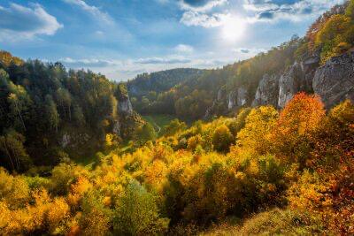 Bieszczady
w kolorach jesieni
