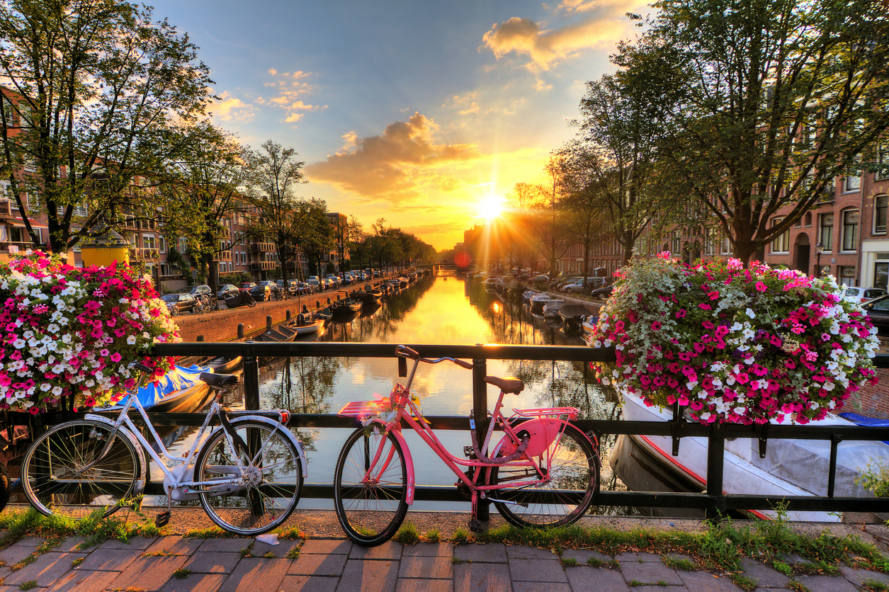 Holandia – Pałac Het Loo, Festiwal Kwiatów i Amsterdam